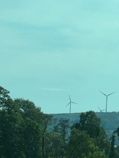 The image depicts a rural landscape with a clear, pale blue sky dominating the upper portion. In the middle ground, a low, rolling hill is visible, topped with lush green trees and vegetation. Three wind turbines are situated on the crest of the hill, silhouetted against the sky. The wind turbines are tall structures with three blades each, facing in different directions, indicating they are actively generating power. The foreground is filled with the dense foliage of trees, which are dark green and appear to be deciduous. The overall impression is one of a serene, natural environment with modern energy infrastructure integrated into the landscape. There are no people visible in the image. The location is identified as Derrylin, United Kingdom.