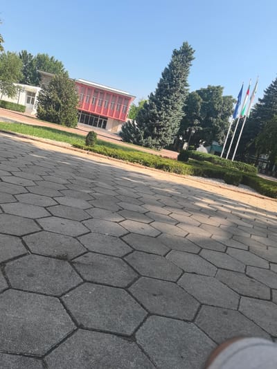 The image shows a paved walkway in front of a building and a row of flags. The walkway is made of hexagonal gray concrete pavers. To the left of the walkway is a grassy area with a few small bushes and trees. Behind the grassy area is a modern building with a white facade and a red section with many windows. To the right of the building and across a landscaped area, there are three flags on poles: the European Union flag, a flag with blue, white, and green stripes, and a flag with white, green, and red stripes. These flags are likely at the Municipality of Sadovo building in Sadovo, Bulgaria, given the description. The sky is clear and blue.