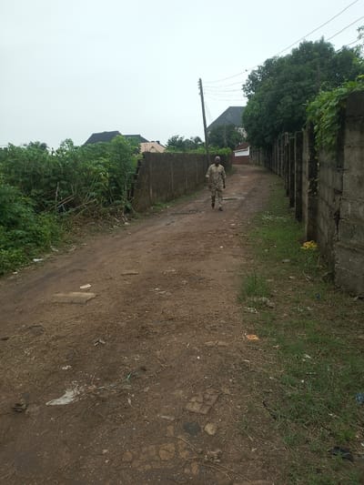 A man wearing a patterned short-sleeved shirt and trousers walks down a dirt road in Ubomiri, Nigeria. The road is lined with concrete block walls on both sides. Dense green foliage grows behind the wall on the left, and trees are visible in the background. On the right, a wall continues along the road, and a large tree with green leaves stands beyond it. The sky is overcast. The road surface is uneven, with patches of dry grass and scattered debris. A wooden utility pole with wires is visible on the left side of the road. Buildings with dark roofs and light-colored walls are visible in the distance. The scene appears to be a residential area.