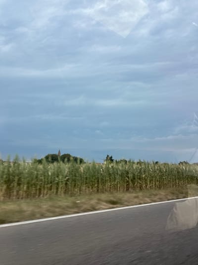 The image depicts a cloudy sky over a rural landscape. In the foreground, a road with white lane markings runs diagonally across the frame. To the left of the road, a field of tall, green grass or crops is visible, appearing slightly blurred due to motion. In the mid-ground, beyond the field, a line of trees obscures a village. A prominent church steeple, constructed of brick, rises above the trees on a small hill in the center of the image. The overall impression is of a journey through the countryside under an overcast sky. The image does not show the city of Weiher, Germany.