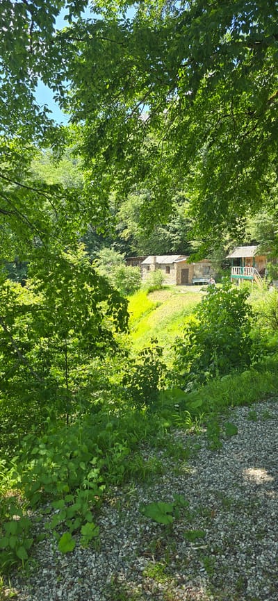 The image depicts a tranquil scene in Babugent, Russia, likely during the daytime. The foreground is dominated by lush green foliage, with trees and bushes obscuring much of the view. Sunlight filters through the leaves, creating dappled patterns on the ground.

In the middle ground, several rustic stone buildings are visible, suggesting a rural or historical setting, possibly a village or an old farmstead. Some of these structures appear to be in disrepair, while others seem to be maintained. A person is faintly visible near one of the buildings, standing on a balcony or porch. Beyond the buildings, a bright green field or meadow stretches out, illuminated by the sun.

To the right of the image, a path or driveway covered in small stones and gravel runs alongside the vegetation. The path is bordered by grass and more greenery. The overall atmosphere is serene and natural, with a sense of quietude. The time of day appears to be late morning or early afternoon, given the bright sunlight and clear sky suggested by the glimpses of blue through the leaves. No text is visible in the image.