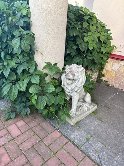 A concrete lion statue is positioned in front of lush green foliage, adjacent to a building with a textured cream-colored wall and a decorative stone lower facade. The statue is seated with its mouth open and mane visible. To the left of the statue, a paved area is covered with reddish-brown bricks laid in a herringbone pattern. To the right of the statue, a darker gray paved surface with some cracks and scattered weeds is visible, separated by a darker gray granite curbstone. The overall setting appears to be an outdoor area, possibly a garden or courtyard. This image was captured in the city of Yukki, Russia.