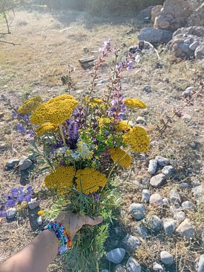 A close-up, eye-level shot focuses on a hand holding a bouquet of wildflowers. The bouquet contains various yellow, white, and purple flowers, with prominent clusters of yellow blooms that resemble yarrow. The hand, adorned with colorful beaded bracelets, is positioned in the foreground, obscuring the lower part of the bouquet. The background depicts a dry, rocky landscape, characteristic of a rural or natural setting. Small, grey stones are scattered across the ground, which is covered with dry grass and sparse vegetation. In the upper left corner, a branch of a tree is visible against a bright, sunlit sky. The overall scene suggests an outdoor environment, possibly in the region of Көксаяқ ауылдық округі, Kazakhstan, given the dry, rocky terrain and the types of wildflowers. The lighting indicates it is daytime, likely morning or afternoon due to the soft sunlight. There are no other people or identifiable structures visible in the frame.