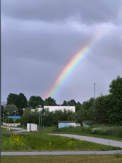 A rainbow stretches diagonally across a cloudy, grey sky. The rainbow's colors, from red to violet, are visible against the muted backdrop. Below the sky, a lush green landscape is dotted with trees and some modern buildings. Several streetlights stand tall amongst the foliage. A paved pathway winds through the grass, and a cluster of bright yellow flowers adds a splash of color to the foreground. In the middle ground, there are several white rectangular structures and a small building with graffiti. The scene appears to be an outdoor public space, possibly a park or a residential area, in Alliku, Estonia.