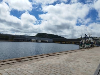 The image shows a wide view of a harbor in Cherbourg-en-Cotentin, France, under a partly cloudy sky. In the foreground, a paved quay with brickwork and metal tracks runs along the water's edge. A body of water, appearing as a calm harbor, occupies the left and middle sections of the image.
Across the water, a long, dark building with yellow accents is visible, likely a commercial or industrial structure along the waterfront. Behind this building, a green, rocky hill rises, with some structures, possibly fortifications or buildings, visible at its summit. To the far left, a multi-story building with a gray facade is partially visible.
On the right side of the image, a fishing boat is docked, with various nets and ropes hanging from its sides. The boat has a blue and white superstructure and several antennas. The quay continues to the right, where a wooden bench is partially visible at the bottom right corner. The overall scene depicts a working harbor environment.