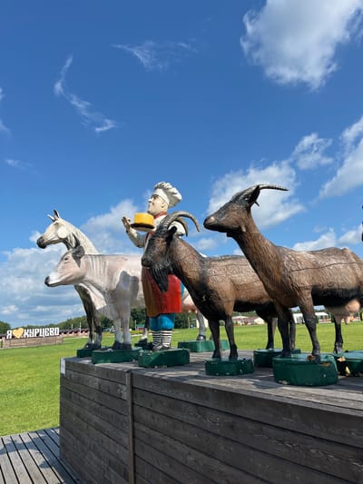 The image depicts a wooden sculpture of a chef holding a round of cheese, standing in front of a white horse and a cow. Two goats stand to the right of the chef. The sculptures are mounted on a wooden platform, which is part of an outdoor exhibition. In the background, a green field stretches out, with trees and buildings visible in the distance. A large white sign with the Cyrillic text "Я КУРИЦЕВО" (Ya Kuritsevo) and a heart symbol is also visible in the background. The sky is blue with scattered white clouds. This scene is located in Akhlebaikha (Kovriginskii S/S), Russia, and is likely a tourist attraction.