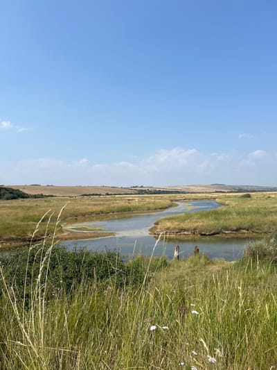 The image shows a natural landscape with a meandering river flowing through marshy grasslands. In the foreground, tall, dry grasses and some green bushes are visible. The river, with calm, reflective water, winds its way into the distance. On the far bank of the river, two figures are standing near the water's edge, appearing to be engaged in some activity. Beyond the marsh, rolling hills covered in dry, golden vegetation stretch across the horizon, meeting a clear blue sky dotted with a few wispy clouds. The overall scene depicts a tranquil rural setting. This location is the River Ouse at the outskirts of Seaford, East Sussex, United Kingdom.