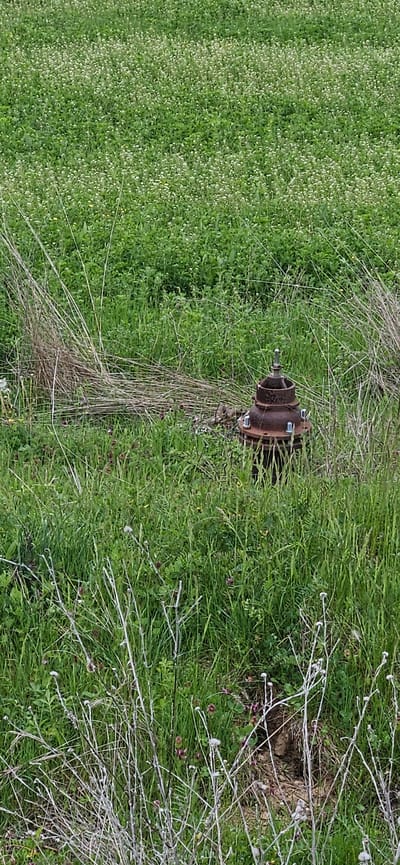 The image captures a rural outdoor scene, likely in Drenkovo, Bulgaria, dominated by lush green vegetation. The primary subject is a rusty, brown metal object, possibly a pipe fitting or part of a small pump, positioned centrally within the frame. This object appears to be a flanged component, secured with several visible bolts and nuts, and has a smaller, corroded shaft protruding from its top.
The setting is an overgrown field or roadside, characterized by vibrant green grass and numerous small plants. Patches of tiny white flowers are visible in the foreground and extending to the left, suggesting a season of abundant growth, likely spring or early summer. Interspersed with the green are dried, light brown, slender stalks and branches, particularly around the rusty metal object and towards the right side of the image, indicating areas of older or dead plant material. In the far right and closer to the rusty object, hints of small purple or reddish flowers can also be seen. A small patch of bare earth or disturbed soil is visible towards the right side of the frame, partially obscured by thorny-looking, greyish-white branches.
No specific activity or event is taking place; the scene is static. The lighting suggests it is daytime, though the exact time is not discernible due to the consistent, soft light, possibly indicating an overcast sky. There is no visible text in the image. The overall impression is one of natural wildness, where an old, man-made object has been largely reclaimed by the surrounding flora.
