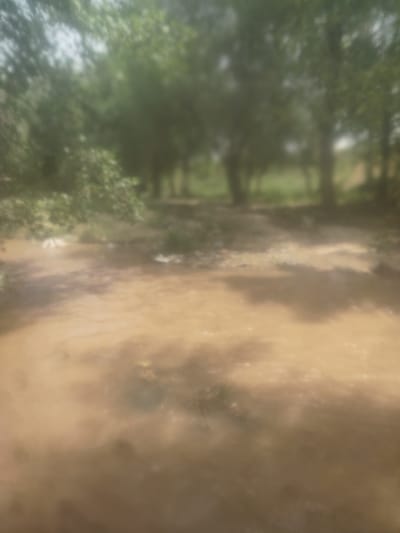 The image shows a muddy, shallow body of water flowing through a natural environment. The water is a light brown color, suggesting it is carrying sediment. The banks of the water appear to be lined with trees and vegetation, indicating a rural or natural setting. The lighting suggests it is daytime, with some dappled sunlight filtering through the leaves. There are no people or man-made structures clearly visible in the image. The scene is consistent with a small river or stream in a natural area, potentially affected by recent rainfall.