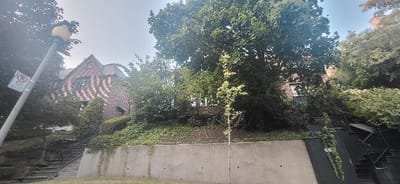 The image depicts a daytime residential scene in Westmount, Canada, characterized by dense foliage, a prominent house, and ascending pathways. In the foreground, a light-colored concrete retaining wall runs horizontally, with a small, slender tree featuring light green leaves positioned centrally in front of it. A patch of green grass is visible at the bottom. To the far left, a grey lamppost with a yellow top leans slightly right, bearing a white rectangular "No Parking" sign with a red circle and diagonal line.

Two sets of stairs ascend the slope from the foreground. The set on the left consists of stone or concrete steps with a black metal handrail on their right, leading upward into heavy green vegetation. The set on the right is darker, possibly black, with black metal handrails on both sides, and is integrated into a dark, sloped retaining structure. Green ivy or vines trail down the dark wall section adjacent to these stairs.

In the midground, a large, multi-story house is visible on the upper left. This structure features distinctive patterned brickwork, likely Tudor Revival in style, with alternating lighter and darker bricks forming wavy horizontal lines. It has a steep, dark shingled roof with prominent gables and at least one visible dormer window with dark framing. The house is partially obscured by various green trees and shrubs. To the right, another building or house is faintly visible behind a dense canopy of trees and bushes, including some with lighter green or yellowish foliage. The overall environment is heavily treed, suggesting a mature, well-vegetated residential area with varying terrain. No individuals, actions, or direct interactions are observed.