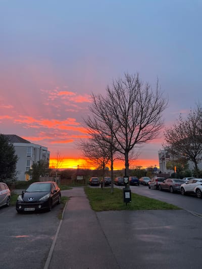 A vibrant sunset paints the sky in hues of orange and pink, contrasting against the bare branches of a tree in the foreground. The scene captures a quiet street lined with parked cars, a grassy strip, and a sidewalk. A building and the front of a parked car are partially visible at the bottom edge of the frame. The image is dominated by the sky's spectacle, casting a warm glow on the surroundings.