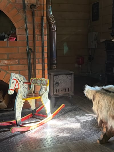 The image depicts an indoor scene, likely in a rustic setting within the city of Vybolovo, Russia. In the foreground, a colorful wooden rocking horse with white, grey, and red accents is positioned on a metallic floor. Behind the rocking horse, a dark-colored wood-burning stove with decorative elements is visible. To the left of the stove, a brick fireplace with various tools, including pokers and a shovel, is present. The background features wooden paneled walls, a metal pipe extending from the stove upwards, and electrical equipment mounted on the wall. On the right side of the image, the hindquarters of a tan and white furry animal, possibly a goat or sheep, are visible. Sunlight streams into the room, casting distinct shadows across the floor and objects. The overall ambiance suggests a warm and lived-in space, possibly a dacha or a rural dwelling.