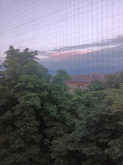 The image captures a view of the sky and rooftops of Balakliya, Ukraine, seen through a mesh screen. Lush green trees dominate the foreground and midground, with their dense foliage obscuring much of the lower portion of the buildings. In the background, several buildings are visible, including a building with a grey tiled roof and an apartment building with multiple stories. The sky is a soft gradient of purple and pink, with scattered clouds and small birds silhouetted against it. The overall impression is one of a peaceful, urban landscape viewed from a window.