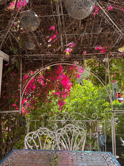 The image shows a metal arbor covered in bougainvillea vines, with a tiled table and two ornate white chairs underneath. Three decorative light fixtures hang from the metal framework of the arbor. The arbor is located in the city of Ra'anana, Israel, at the coordinates 32.173 latitude and 34.872 longitude. The bougainvillea flowers are a vibrant pink, and the surrounding greenery is lush. The scene is peaceful and inviting, suggesting a place for relaxation and enjoyment.