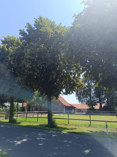 In Telgte, Germany, on a sunny day with a clear blue sky, a rural scene unfolds. A paved road occupies the foreground, with the dappled shadows of trees cast across its surface. Beyond the road, a lush green field is bordered by a rustic wooden fence. In the middle ground, several mature trees with dense green foliage stand tall. Behind the trees, a traditional German farmhouse with a red-tiled roof and multiple windows is visible. The building appears to be constructed of brick. The overall atmosphere is serene and pastoral, suggesting a peaceful countryside setting.