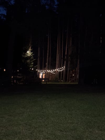 The image depicts a dark, outdoor scene at night, likely in a forested or park-like area. A grassy lawn occupies the foreground, fading into darkness. In the middle ground, a line of tall trees, mostly silhouetted against the dim sky, forms a backdrop. A building, possibly a cabin or house, is visible between the trees, with illuminated windows suggesting interior light. A string of festive lights, small and round, is draped across the scene, hanging from trees or structures, casting a warm glow. One large tree on the left is illuminated by a bright light, possibly a spotlight. The overall atmosphere is serene and somewhat magical, with the darkness emphasizing the glow of the lights.
The location is described as Kierwik, Poland.