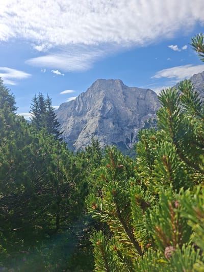 A bright, sunny day in Mieming, Austria, showcases a majestic mountain range towering over a foreground of lush green pine trees. The sky is a vibrant blue, dotted with wispy white clouds. The mountain's rocky slopes are textured and varied, with some areas appearing snow-dusted. The pine trees in the foreground are in sharp focus, their needles appearing vibrant and healthy. The overall scene evokes a sense of natural beauty and tranquility.