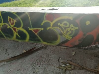 Graffiti art adorns a low concrete wall, featuring yellow and red outlines on a dark background. The designs are abstract and appear to be stylized lettering. Debris like twigs and leaves are scattered on the ground below the wall, suggesting an outdoor setting. Sunlight streams in, creating bright patches and shadows across the scene. Green grass is visible at the top of the image.