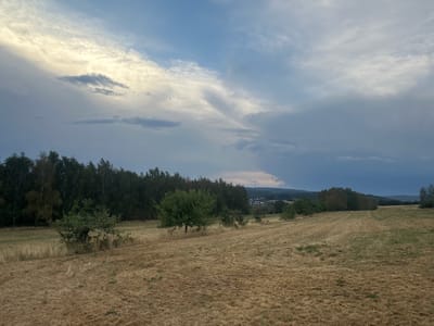 The image depicts a rural landscape near Wadern, Germany. The foreground is a harvested field of dry, golden-brown grass, showing evidence of recent mowing with visible cut stalks and some scattered green patches. In the mid-ground, a line of trees forms a dark green border along the edge of the field. One prominent, leafy green tree stands alone in the middle of the field. Further in the distance, more trees and hills are visible, with a small cluster of buildings and houses nestled on a slight elevation. The sky is dramatic, with a mix of bright white and pale yellow clouds illuminated by sunlight, contrasted with darker, heavier grey clouds that suggest an approaching storm or recent rain. The overall impression is one of a late summer or early autumn day in the German countryside.