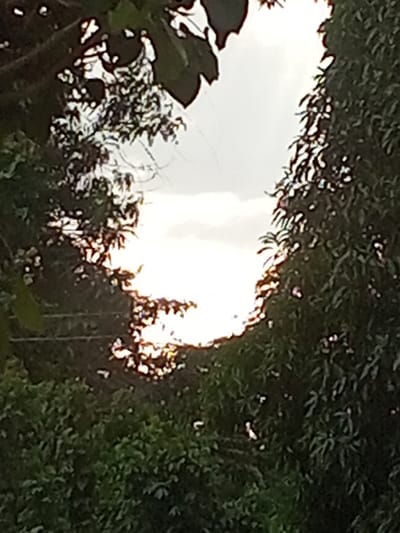 The image depicts an outdoor scene in Konongo, Ghana, dominated by dense, dark green foliage framing a central, irregularly shaped void. This void is intensely bright and overexposed, appearing white with yellowish-orange hues towards its lower segment, indicative of natural light from a bright sky or sun. The surrounding foliage, composed of leaves and branches, is largely silhouetted and occupies the left, top, and right portions of the frame. Faint, thin linear elements, consistent with either fine branches or utility wires, are discernible within the upper left foliage. No individuals, animals, or specific man-made structures are clearly identifiable within the scene.