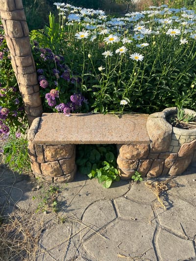 A stone bench is situated in a garden in Vasylky, Ukraine, near a cluster of white daisies and purple flowers. The bench is constructed with a speckled stone seat and a base resembling stacked rocks. To the left of the bench, a decorative pillar with a faux stone texture stands, partially obscured by greenery. The ground is paved with large, irregularly shaped stones, with dry grass and small plants scattered between them. The scene is bathed in natural sunlight, casting shadows on the paving.