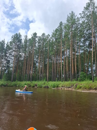 An individual is paddleboarding on a wide, brown river, with a dense forest of tall pine trees lining the right bank. The sky is partly cloudy with patches of blue. The paddleboarder is seated, wearing a life vest and a hat, and is holding a paddle. The river is calm, with small ripples on the surface reflecting the trees and sky. The shoreline features green vegetation and some fallen logs. The scene appears to be in a natural, undeveloped area, consistent with a rural location in Russia, potentially near the village of Glukhari.