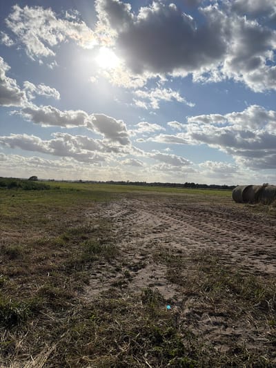 The image depicts a rural landscape under a partly cloudy sky with the sun shining through the clouds. The foreground features dry, patchy grass and sandy soil with tire tracks. In the middle ground, there is a flat green field extending towards a treeline in the distance. On the right side of the middle ground, three round hay bales are visible. The background shows a distant treeline and the horizon. The scene does not appear to be located in the city of Oksza, Poland, as it lacks any urban elements or recognizable landmarks associated with that location.