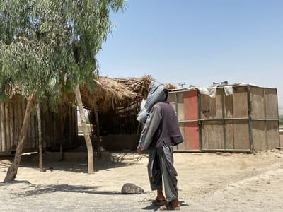 The image shows a man walking in front of a wooden structure. The man is wearing a dark jacket, a long grey shirt, and loose trousers. He is carrying a blue cloth bag over his shoulder. He appears to be walking away from the viewer. The structure is made of wood and appears to be a shed or storage unit. It has a red door on the right side. The structure is located in front of a large tree with green leaves. There is a small rock on the ground in front of the man. The ground is dry and dusty. The sky is clear and blue.  The image is taken in Panjwai, Afghanistan, located at the coordinates: 31.614 latitude and 65.588 longitude.