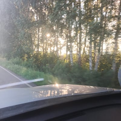 The image captures a blurry view from inside a vehicle traveling along a paved road bordered by a grassy shoulder and a dense line of trees. The sun is shining brightly through the trees, creating lens flare and highlighting the foliage. The trees appear to be a mix of birch and other deciduous species, with their white trunks visible. The sun's rays are also reflecting off the car's dashboard in the foreground. The scene suggests a rural or semi-rural setting. No people are visible in the image. The location is identified as Orlovka, Russia.