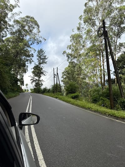 A curved asphalt road with double white lines is viewed from inside a car, with a side mirror visible. Lush green trees line the roadside. Overhead, power lines are strung between wooden poles, disappearing into the distance. The sky is overcast with light grey clouds peeking through the treetops. The overall impression is of a drive through a dense, wet, and tropical landscape.