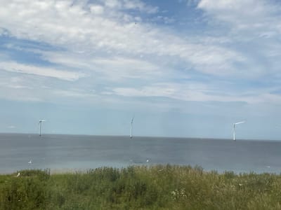A wide shot captures an offshore wind farm in the Great Belt strait, viewed from the coast near Korsør, Denmark. Three large wind turbines are prominently displayed in the middle distance, standing tall in the calm, gray water. The foreground is dominated by a lush, green embankment covered in tall grass and scattered wildflowers. Several seagulls are visible, both on the land and flying over the water. The sky above is a mix of blue and scattered white clouds, with a single bird of prey soaring in the upper portion of the frame. The overall scene conveys a sense of natural beauty and renewable energy infrastructure.