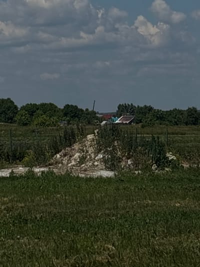In the city of Ves', Russia, a rural landscape is depicted under a partly cloudy sky. The foreground is dominated by tall, green grass and a rough pile of light-colored debris. In the middle ground, a line of dense green trees forms a backdrop. Behind the trees, a few scattered buildings with red and blue roofs are visible, along with a tall, slender pole. The overall scene suggests a field or undeveloped land, possibly on the outskirts of the city.