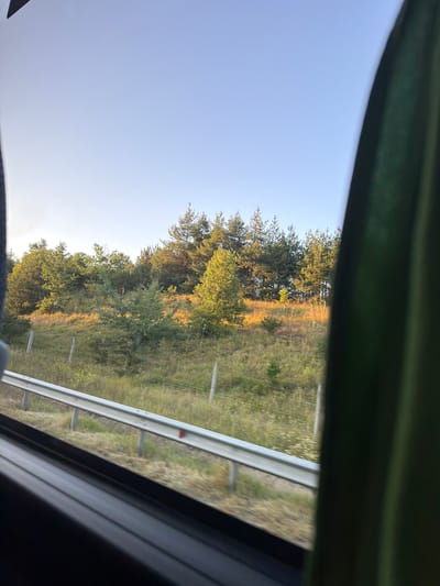 The image captures a view from a window, likely inside a moving vehicle, looking out at a sunlit hillside covered in trees and vegetation. The sky is clear and blue. In the foreground, a dark, blurred shape, possibly part of the vehicle's interior, occupies the left and right edges of the frame. A metal guardrail runs horizontally across the middle ground, separating the road from the hillside. The hillside is covered in various shades of green and yellow, with sunlight creating bright patches of illumination on the foliage, indicating it's likely late afternoon or early morning. Several thin, white fence posts are visible along the hillside. The scene appears to be a rural or semi-rural area, possibly along a highway. The location is identified as Rajana, Bulgaria.
