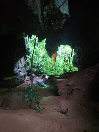 The image depicts the interior of a cave, located in Ban Pak Ra, Thailand, looking out towards a lush, green forest. The cave entrance is irregular in shape, framed by dark, rocky formations. Outside, vegetation is dense, with various shades of green foliage. An orange cloth hangs amongst the plants. Inside the cave, the ground is sandy, and a small stone structure stands on the left. A sapling with sparse leaves grows near the center of the frame. The light is dim inside the cave, contrasting with the bright daylight filtering through the entrance.