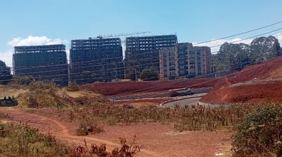 The image captures a sprawling outdoor scene dominated by ongoing construction and development under a clear, bright sky. In the background, several large buildings stand out against the horizon. Three prominent structures on the left and center appear to be high-rise buildings in various stages of construction, showcasing their skeletal concrete frames, exposed rebar, and some scaffolding or protective netting. On the right side of the background, a completed or nearly completed multi-story residential building with balconies and a finished facade is visible, contrasting with the raw construction sites.
The mid-ground is characterized by vast expanses of reddish-brown earth, which has been cleared and graded, indicating recent excavation and land preparation. A paved road, likely newly constructed, winds through this red earth terrain on the right side of the image, curving around an elevated bank of soil. A large truck, possibly a construction or delivery vehicle, can be seen on this road.
The foreground consists of uncultivated, dry, reddish-brown soil with sparse, dry grasses and small shrubs, suggesting a less developed or natural area bordering the construction site. A few dark figures, possibly people, are seated or resting on a patch of ground in the far left foreground. Several dark, horizontal lines, likely utility or power lines, traverse the middle section of the image, cutting across the view of the buildings and graded land.
Further in the background, especially on the far right and behind some of the buildings, dense clusters of green trees indicate areas of natural vegetation. The sky is a vibrant blue with a few scattered white clouds, suggesting clear weather. The overall impression is one of rapid urban expansion or infrastructure development in a sunny, possibly arid or semi-arid, environment. There is no discernible text visible in the image.
