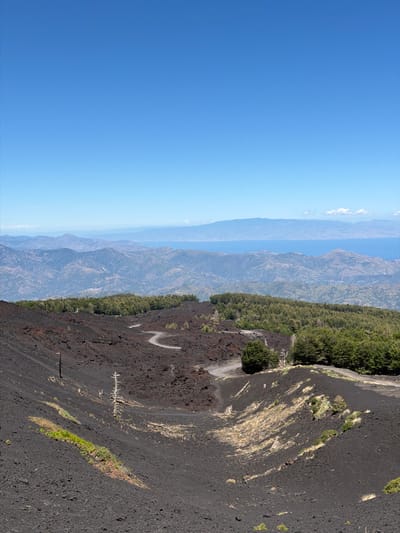 The image depicts a volcanic landscape under a clear blue sky, likely a view from Mount Etna, near Linguaglossa, Italy. The foreground is dominated by dark, barren volcanic rock and ash, with a winding dirt road cutting through it. Sparse vegetation, including dry, dead trees and patches of green grass, dot the slopes. In the mid-ground, a dense forest of green trees covers a ridge. Beyond the forest, a series of rolling, layered mountains stretch towards the horizon, transitioning into a hazy, pale blue sea. The distant coastline appears as a faint, pale line under the expansive sky. There are no people or animals visible in the scene.
