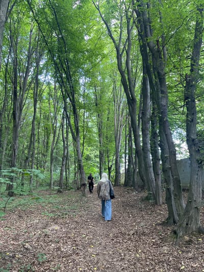 In the village of Konopnytsia, Ukraine, an overhead perspective captures a woodland scene with a dirt path winding through the trees. The path is covered with fallen leaves, suggesting a natural, untamed environment. The trees are tall and densely packed, their leaves forming a lush green canopy that filters the sunlight, creating a dappled effect on the ground. Two individuals are walking away from the camera down the path. One is a woman with blonde hair, wearing a patterned jacket and blue jeans. The other is a person in a dark shirt and pants, possibly carrying a bag. Their figures are small in the frame, emphasizing the vastness of the forest. To the right of the path, a dilapidated concrete structure, possibly an abandoned building or wall, is partially visible amongst the trees, hinting at the presence of human activity in the past. The overall impression is one of a serene, natural setting with a touch of forgotten history.