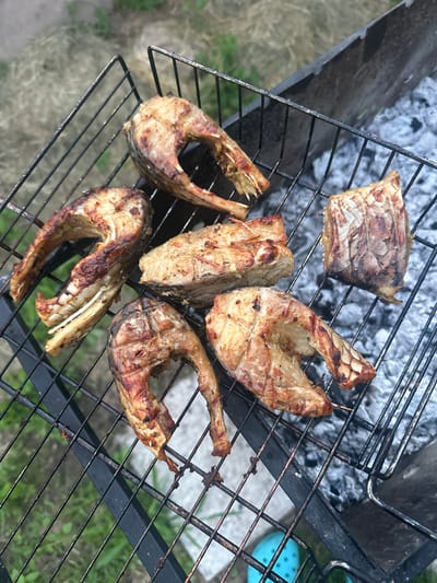 This media file shows several pieces of grilled fish arranged on a black metal grill. The fish appears to be cooked to a golden brown, with some char marks indicating it has been over hot coals. The grill is placed over a bed of white and grey ash, suggesting an active charcoal grill. The background is slightly blurred but shows a grassy area with some dirt, typical of an outdoor setting. There is also a glimpse of a bright blue object, possibly a bucket or container, in the upper right corner. The lighting suggests it is daytime, and the overall scene conveys a sense of outdoor cooking and possibly a picnic or barbecue. No people are visible in the media file, and no text is present. The location context provided is Пярэжырскі сельскі Савет, Belarus, which aligns with an outdoor, possibly rural setting.