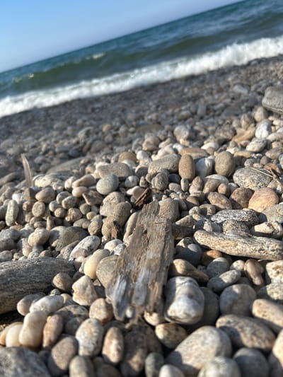 A low-angle, close-up shot shows a pebble beach with a body of water in the background. The pebbles are a mix of neutral colors, including gray, beige, and white, and vary in size. A piece of weathered driftwood is positioned in the foreground, lying horizontally across several stones. The water is calm with a gentle wave breaking on the shore. The sky is clear and blue, indicating daytime. The location is specified as Tolbazikha, Russia. There are no people or animals visible in the image.
