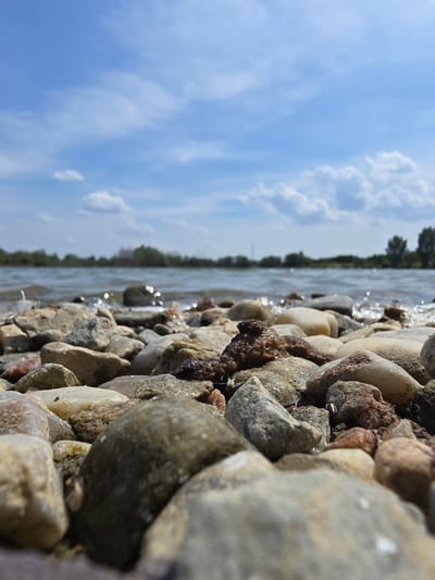 This is a low-angle, close-up shot of a rocky shoreline along a body of water, likely a river or lake. The foreground is dominated by a dense arrangement of smooth, rounded pebbles and stones in various shades of gray, brown, and tan, some appearing wet and glistening. Small pieces of dark, organic matter are interspersed among the rocks. The water is visible in the midground, with gentle ripples and reflections of sunlight on its surface. The background features a distant, blurry treeline and a bright blue sky with scattered white, fluffy clouds. The scene appears to be set in an outdoor, natural environment, potentially the shore of the Vltava River near Krčmaň, Czechia, given the context. No people or animals are present in the image, and no specific actions or interactions are depicted.