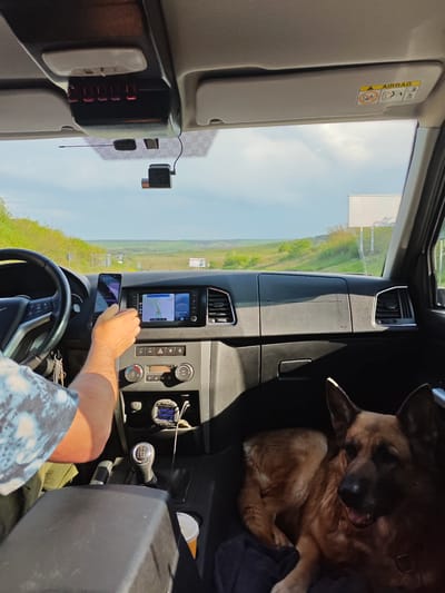 A driver is using a smartphone while driving, with a German Shepherd dog visible in the passenger seat. The car's navigation system is active. The image captures the scene inside the vehicle, looking out through the windshield towards a rural landscape, with trees and a sky with broken clouds. The "AIRBAG" indicator is visible above the passenger's side. The location is likely in Khoroshovskiy, Russia based on the countryside landscape and road signs, although there is not any specific reference to Russia within the image.