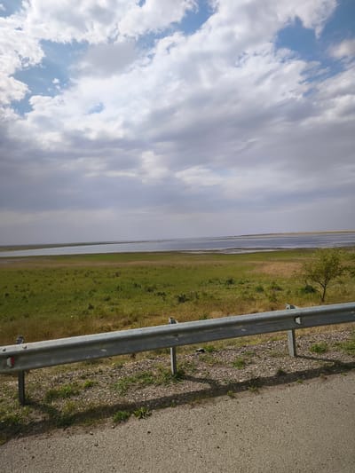 This is a landscape photograph taken outdoors on a cloudy day. The foreground features a grey metal guardrail running horizontally across the frame, supported by posts. Beyond the guardrail is a strip of gravel and green vegetation, with sparse patches of dry grass. A paved road surface is visible in the lower right corner.
The midground consists of a large, relatively flat expanse of green grassland with some patches of yellowed, dry grass. A solitary, sparsely leaved tree stands on the right side of this grassy area.
The background is dominated by a wide, calm body of water, likely a lake or sea, stretching to the horizon. The water is a muted blue-grey color. In the distance, the land on the opposite shore is visible as a low, indistinct line.
The sky above is filled with a mix of white and grey clouds, with patches of blue sky showing through. The lighting suggests it is daytime, likely mid-morning or afternoon, with diffused sunlight. The overall impression is one of a natural, somewhat open and expansive landscape. No people are visible, nor are there any explicit signs of human activity other than the guardrail and the road. The weather appears overcast but calm.
