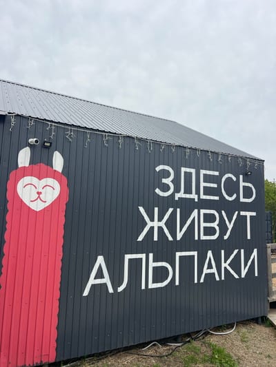 A low-angle shot depicts a portion of a dark gray, corrugated metal building. White lettering spells out “ЗДЕСЬ ЖИВУТ АЛЬПАКИ” which translates to "Alpacas live here" in Russian. Beneath the text, a stylized cartoon alpaca with red fur and a heart-shaped face is painted on the metal. Small white lights hang along the top edge of the building. Security cameras are mounted on the wall. Some grass and brush are visible in the right corner of the image. The sky is overcast. According to reverse image search, the location is Tavrichanka, Russia.