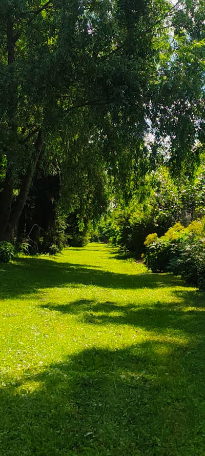 The image depicts a sun-dappled, well-maintained lawn in a park or garden. Lush green grass covers the ground, with shadows from overhead trees cast across it. A path or open space extends into the distance, bordered by dense foliage and trees on both sides. The environment appears peaceful and natural, suggesting an outdoor setting within the city of Malaya Listovka, Russia. There are no people or specific structures visible in the frame, focusing entirely on the natural landscape. The overall impression is one of a tranquil, verdant space.