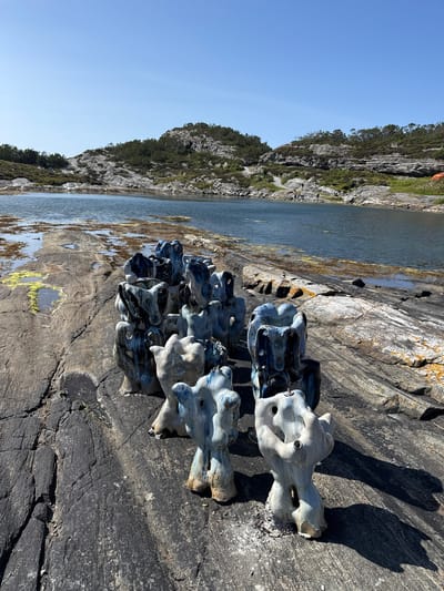 The image captures a sunny outdoor scene with a clear blue sky. In the foreground, on dark, textured rocky ground, are several abstract ceramic sculptures. These sculptures are predominantly light blue and white, with some featuring dark blue or black glaze accents. They have irregular, organic shapes with openings and holes, resembling stylized figures or natural forms. The sculptures are arranged in groups and rows, casting distinct shadows on the rock.
Behind the sculptures, a body of water stretches across the middle ground, with patches of seaweed or aquatic vegetation visible near the shore. The water is calm and reflects the blue of the sky. The background features a rocky coastline with sparse vegetation, including trees and bushes, and rolling hills or mountains under the bright sun.
The location is identified as Rong, Norway. No specific actions or interactions between people are visible in the immediate foreground with the sculptures, though distant figures can be observed on a pathway along the shoreline in the background. The overall impression is one of an artistic installation set within a natural coastal landscape.