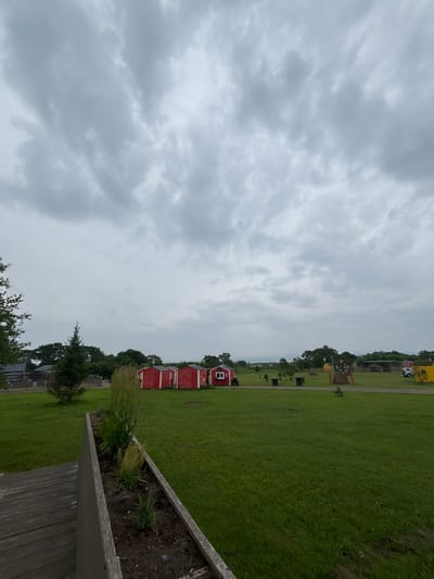 This image depicts an outdoor scene in Tavrichanka, Russia, under a cloudy sky. The foreground features a wooden walkway leading to a planter box containing various plants, including tall grasses and smaller green foliage. Beyond the planter, a vast expanse of green grass stretches towards a line of small, red, shed-like structures with white trim and red star designs on their sides. A lone evergreen tree stands to the left of these red buildings. In the middle ground, there are additional structures, including a dark-colored building with some writing on it, and further in the distance, several yellow structures and a hay bale are visible on the green field. The horizon is marked by a line of trees, and a faint, hazy landmass can be seen in the far distance. The overall impression is of a rural or park-like setting.
