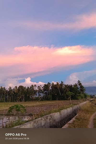 This is a landscape photograph taken at sunset in Blangkutacoh, Indonesia. The scene is dominated by a vibrant sky painted with hues of pink, orange, and blue, indicative of a sunset. Wispy clouds are scattered across the sky, some tinged with the warm colors of the setting sun.
Below the sky, a dense line of palm trees stretches across the horizon, creating a silhouette against the colorful sky. To the left of the palm trees, a field of rice paddies is visible, with some areas appearing to be flooded. A narrow, concrete irrigation canal runs along the right side of the foreground, with dry grass and weeds growing along its edges. A dirt path is visible to the right of the canal.
The time of day is clearly indicated by the sunset colors and the timestamp overlay. The overall mood of the image is serene and peaceful, capturing the natural beauty of a rural Indonesian landscape at dusk.
Visible text at the bottom of the image reads "OPPO A6 Pro" and "23 Juni 2026 pukul 18.58", which is likely the camera model and the date and time the photo was taken.