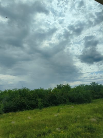 This media file captures a view of a grassy field leading up to a dense line of green trees under a cloudy sky. The foreground is dominated by a vibrant green field, with patches of yellow wildflowers and fluffy white seed heads scattered throughout. The grass appears tall and somewhat untamed, suggesting a natural or rural setting.

Behind the field, a thick band of trees forms a natural barrier, their lush green foliage creating a stark contrast with the sky. The trees are varied in height and density, with some appearing taller and more mature than others.

The sky above is filled with dramatic, heavy clouds, ranging in color from light gray to dark, ominous tones. Hints of blue sky can be seen peeking through in places, particularly on the right side of the image. The lighting suggests it is daytime, possibly late afternoon, with the heavy cloud cover creating a diffused, somewhat muted light. The overall mood is somewhat subdued due to the weather, but the vibrant green of the field offers a sense of life and natural beauty.

There are no people or man-made objects clearly visible in this image. The scene depicts a natural landscape, likely in a rural area, with no specific identifiable landmarks. The time of day appears to be daytime, with the weather being overcast and possibly threatening rain. There is no visible text in the image. The location context of Buzuluk, Russia, would suggest a natural, possibly steppe or forested landscape.