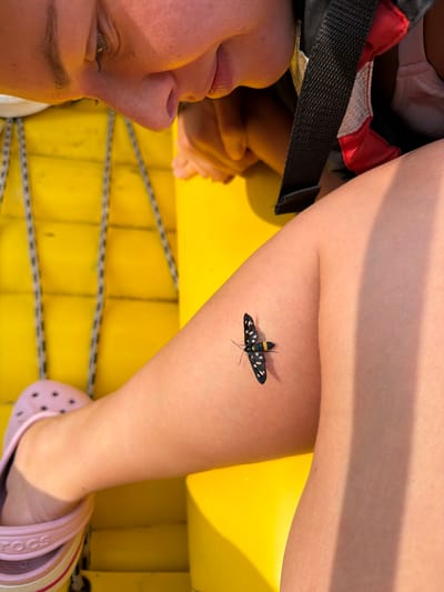 The image shows a person from the chest up, lying on their back. They are wearing a pink bra and a black and red harness. Their face is partially visible, and they appear to be looking upwards. A small black and yellow moth is perched on their arm. The background is yellow, possibly a raft or a boat, with some ropes visible. The lighting suggests it is daytime, and the shadow on the person's arm indicates a sunny environment. The overall impression is that of a person relaxing outdoors on a sunny day. The location context provided is Spiljani, Bosnia and Herzegovina, suggesting an outdoor recreational setting. No visible text is present in the image.