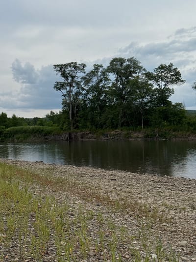 The image depicts a wide, calm river flowing through a natural landscape. The foreground is a rocky shore with sparse green vegetation growing between the stones. The river itself has a dark, reflective surface, with subtle ripples indicating a gentle current. Across the river, the bank is lined with dense green foliage and trees. In the background, a line of hills covered in vegetation stretches across the horizon. The sky is overcast with large, grey clouds, suggesting a subdued or possibly rainy day. The overall impression is one of a serene and undeveloped natural environment. The location is identified as Chuguevka, Russia, implying this scene is part of the natural scenery surrounding the town.